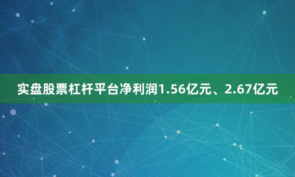 实盘股票杠杆平台净利润1.56亿元、2.67亿元